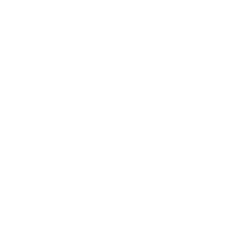 RenanTav's emblem