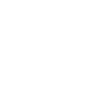 TermidorT-800's emblem