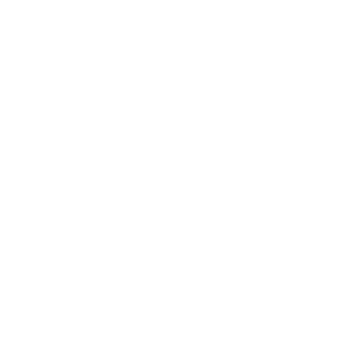 Dralus1541's emblem