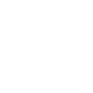 BDizGames's emblem