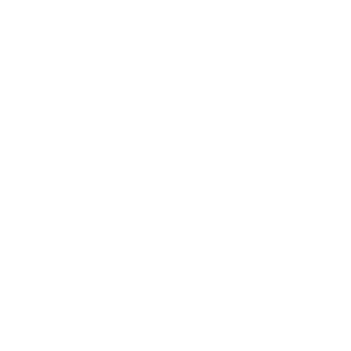 9d8e1d706b8f4a8d's emblem