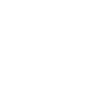 StrikerLeader27's emblem