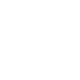 Re9B4r0n's emblem