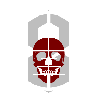 Hawkey130's emblem