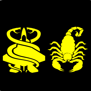 Stunnerboy8's emblem