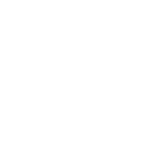 zapturn's emblem