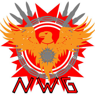 noobs With guns's emblem