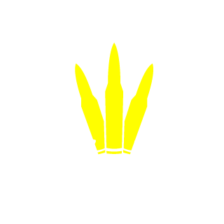 1VOOK2's emblem