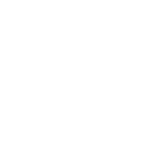 danielribeirop's emblem
