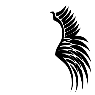 AirForceCaptain's emblem