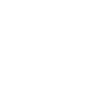 SVTXNX's emblem