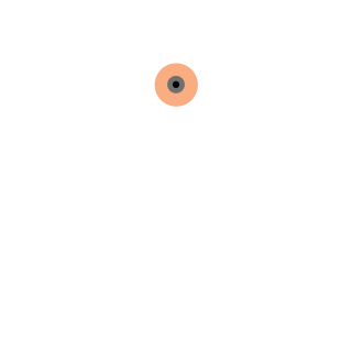 407RAC's emblem