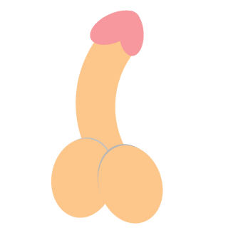 TraKeNN's emblem