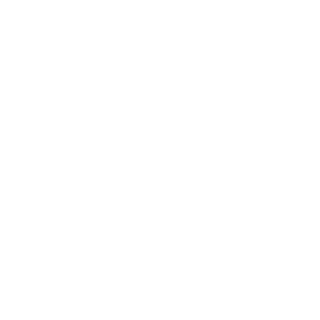 FOW_Meister's emblem