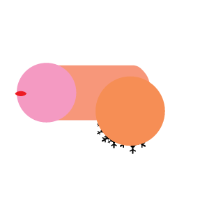 Roy_PidriIl's emblem