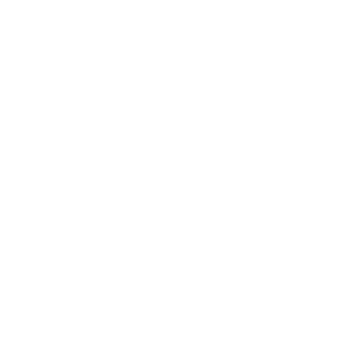SaigaGuyofMetro's emblem