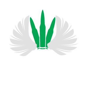 -FeLiiXs-'s emblem