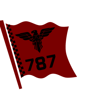 thunderbolt787's emblem