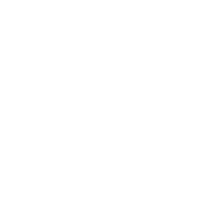 Reiga2910's emblem