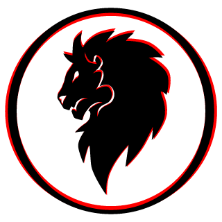 Nascar_dtn's emblem