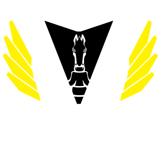 VyroxDE's emblem