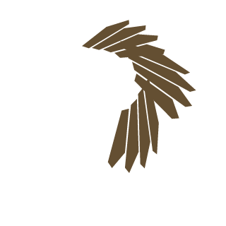 ishankodikara's emblem