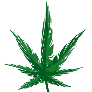 rastaDisastah's emblem