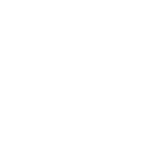 AELiror's emblem