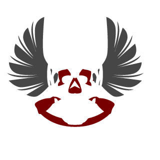 X4vierLR's emblem