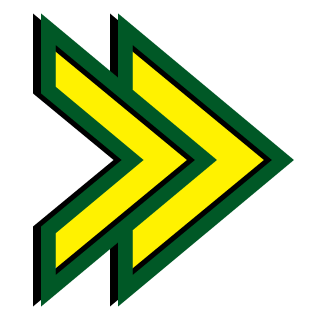 LaundryNinja's emblem