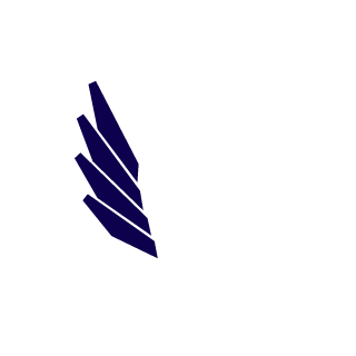 thainguyen2015's emblem