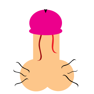 Gamerovskyy's emblem