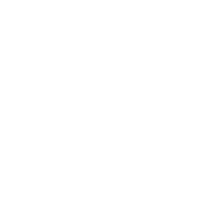TEN-Armstrong's emblem