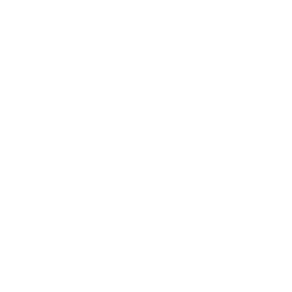 17MAXIMUS77's emblem