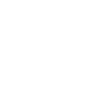 AZEL-Dollar's emblem