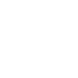 Synz-Vi's emblem