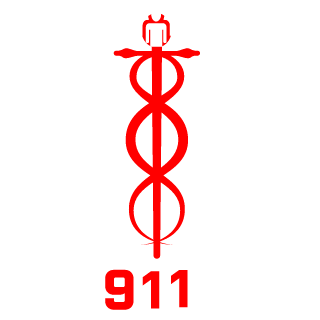 RussiaSoldier24's emblem