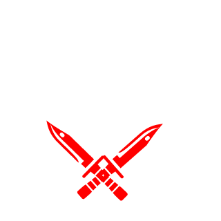 BVRNOUT's emblem