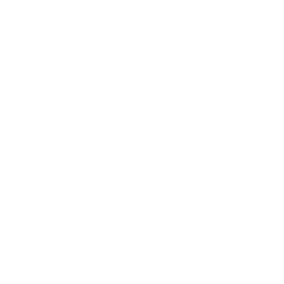 pLp55's emblem