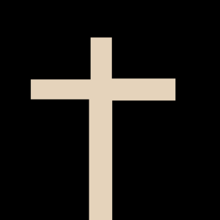 NinjaBricks4's emblem