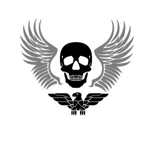 Phoenix2385's emblem