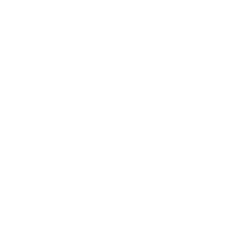 Stexible's emblem