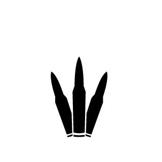 Oggga_booga's emblem