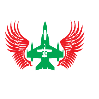 volodikdayz12's emblem