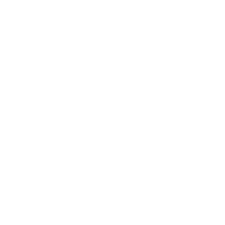 theo96b's emblem