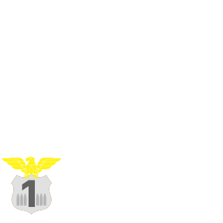 Flash_Medic's emblem
