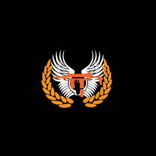 Pilottoaster991's emblem