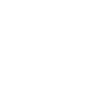 Fov12345's emblem