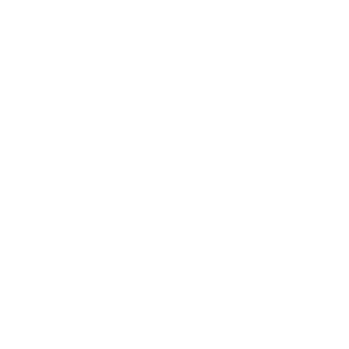 BICB0I's emblem