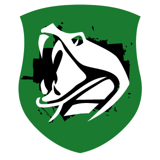 ViktorSti_1BF's emblem